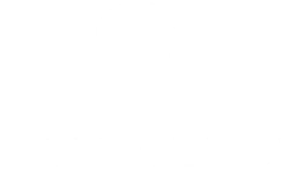 Sanvitus Logo_Blanco